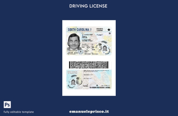 verified style modello presente patente di guida USA South Carolina stile verificato template