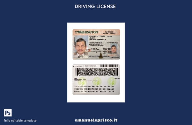 verified style modello presente patente di guida USA Washington stile verificato template