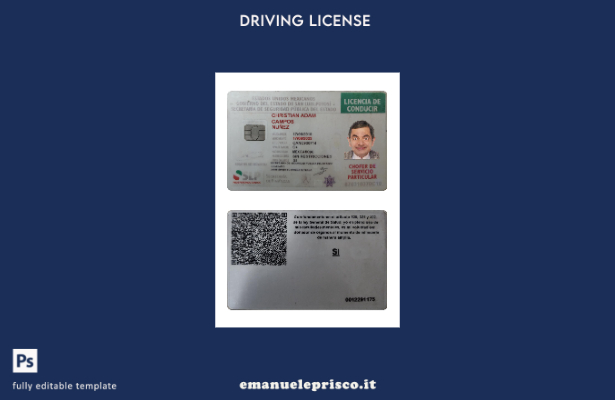 verified style modello presente patente di guida messicana in stile verificato template