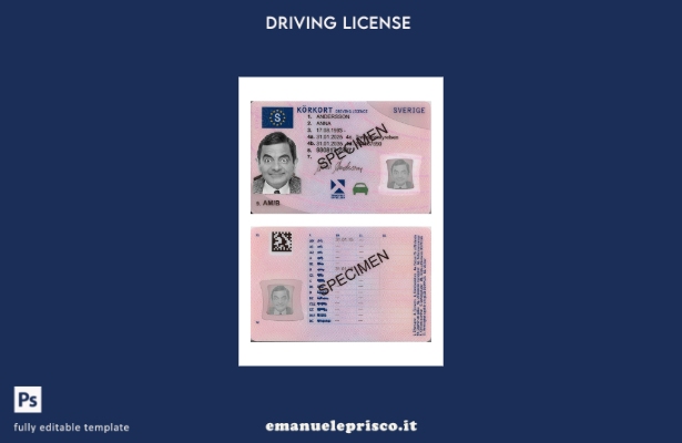 verified style modello presente patente di guida svedese stile verificato template