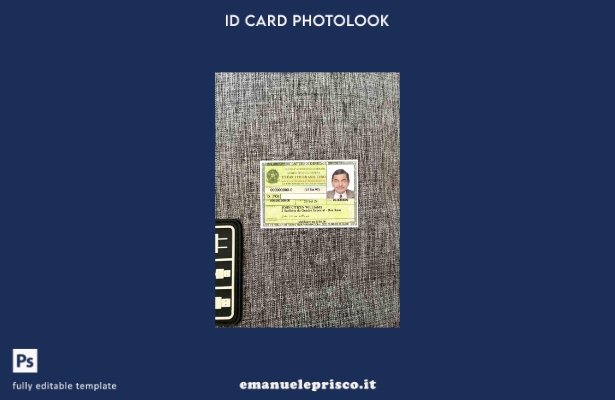 modello FRONTALE photolook della carta d'identità del Brasile in stile verificat