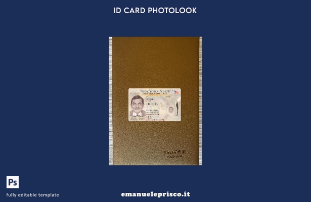 stile verificato Carta d'identità USA New York presente modello frontale photolo