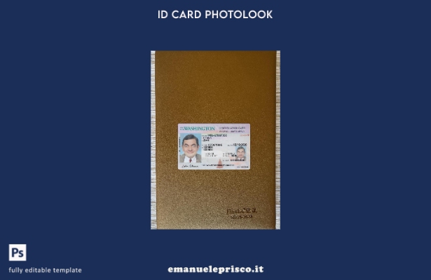 stile verificato Carta d'identità USA Washington presente modello frontale photo