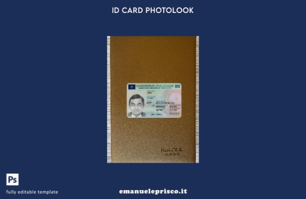 stile verificato Carta d'identità lituana presente modello frontale photolook