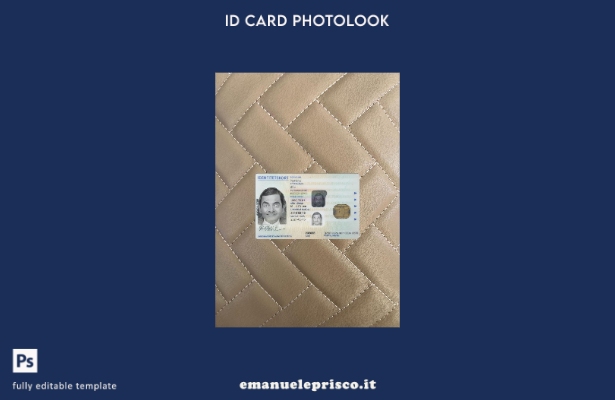 stile verificato Carta d'identità svedese presente modello frontale photolook