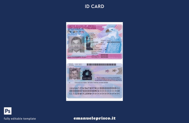 Modello di autorizzazione all'impiego negli Stati Uniti in stile verificato