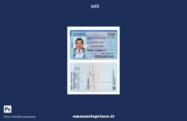 modello di carta di registrazione per stranieri della Corea del Sud (ARC) in sti