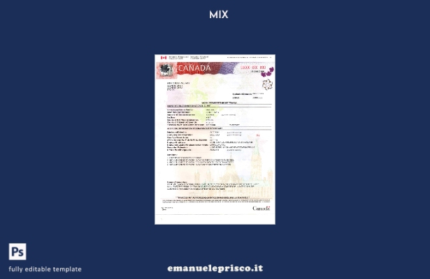 modello di pagina presente del permesso di lavoro canadese in stile verificato
