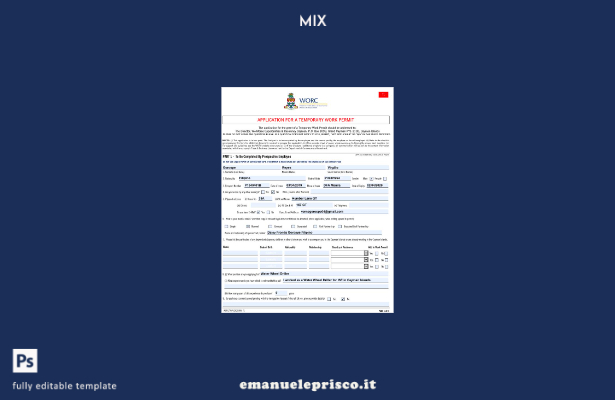 modello di permesso di lavoro delle Isole Cayman in stile verificato