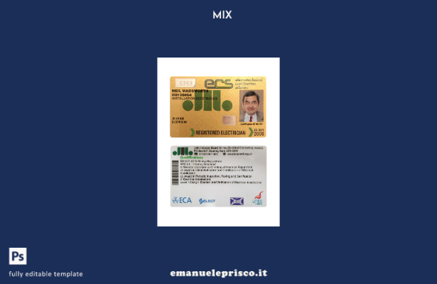 modello di scheda ECS (Electrotechnical Certification Scheme) del Regno Unito in