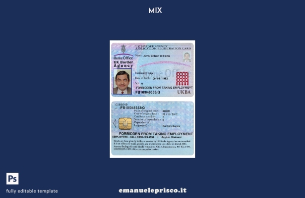 modello di scheda di registrazione della domanda dell'agenzia di frontiera del R
