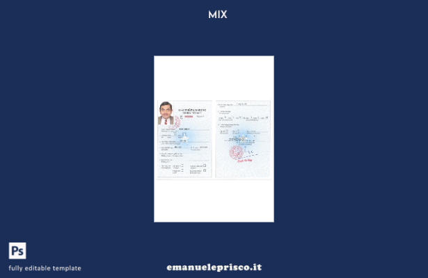 modello di versione del permesso di lavoro per il Vietnam in stile verificato