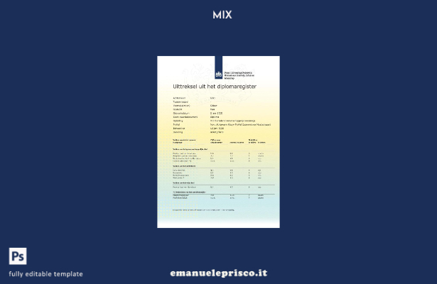 stile verificato Modello di estratto del registro dei diplomi MboRijnland dei Pa
