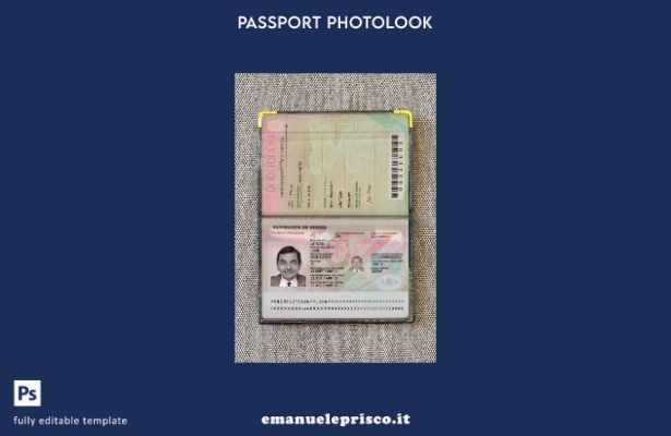 Modello di aspetto fotografico del passaporto della Guinea (presente) in stile v