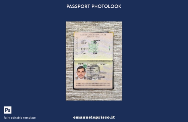 modello di aspetto fotografico del pass per lo Zambia in stile verificato