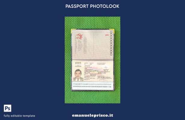 modello di aspetto fotografico del passaporto danese in stile verificato