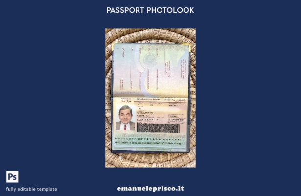modello di aspetto fotografico del passaporto del Ciad in stile verificato