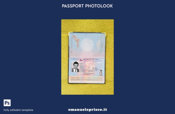 modello di aspetto fotografico del passaporto del Cile in stile verificato