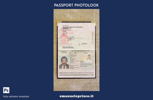 modello di aspetto fotografico del passaporto del Madagascar in stile verificato