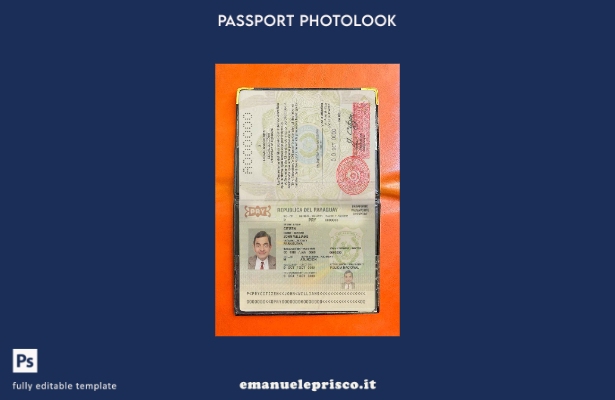 modello di aspetto fotografico del passaporto del Paraguay in stile verificato