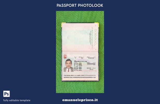 modello di aspetto fotografico del passaporto del Qatar in stile verificato