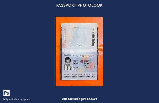 modello di aspetto fotografico del passaporto della Malesia (presente) in stile