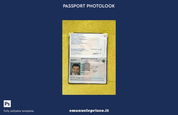 modello di aspetto fotografico del passaporto francese in stile verificato