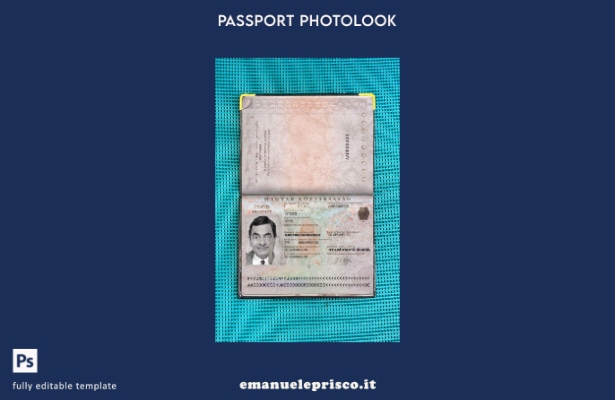 modello di aspetto fotografico del passaporto ungherese in stile verificato