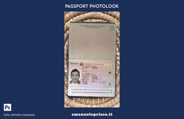 modello di look fotografico Singapore Pass () in stile verificato