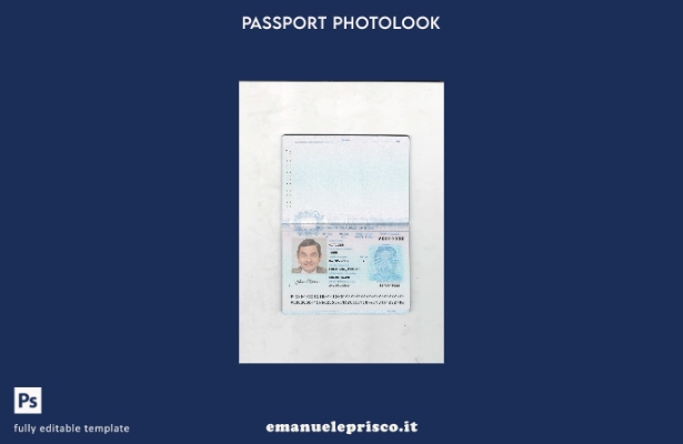 modello di pagina delle pagine presenti del passaporto indiano in stile verifica