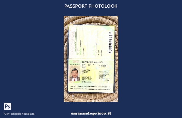 modello di passaporto della Guinea ( ) in stile verificato