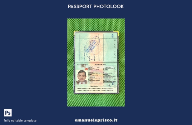 modello photolook presente del passaporto della Repubblica del Niger in stile ve