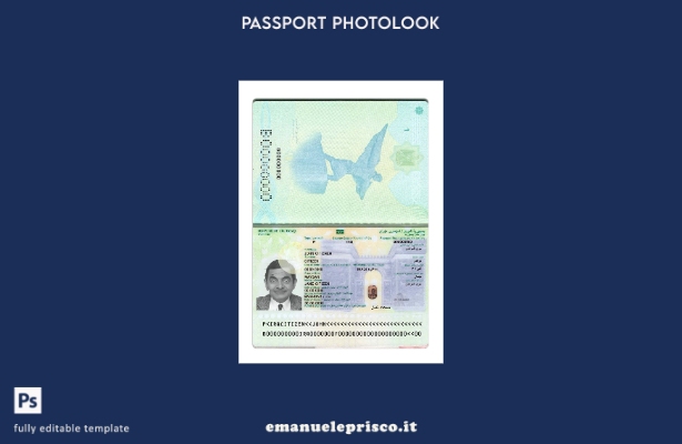 modello presente di passaporto iracheno in stile verificato