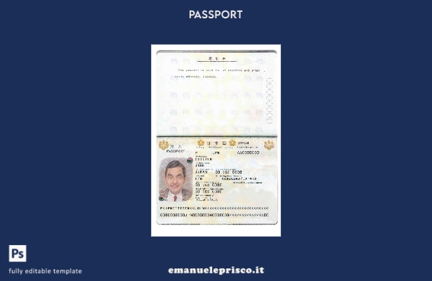 modello di passaporto giapponese in stile verificato 1