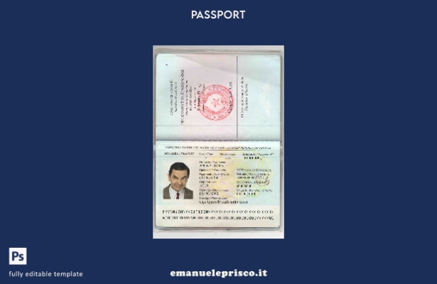 modello di passaporto vietnamita in stile verificato