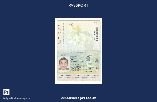 modello presente di passaporto dell'Ecuador in stile verificato 1