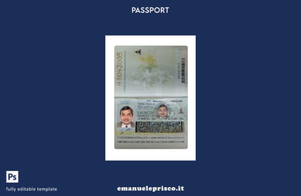 modello presente di passaporto dell'Ecuador in stile verificato