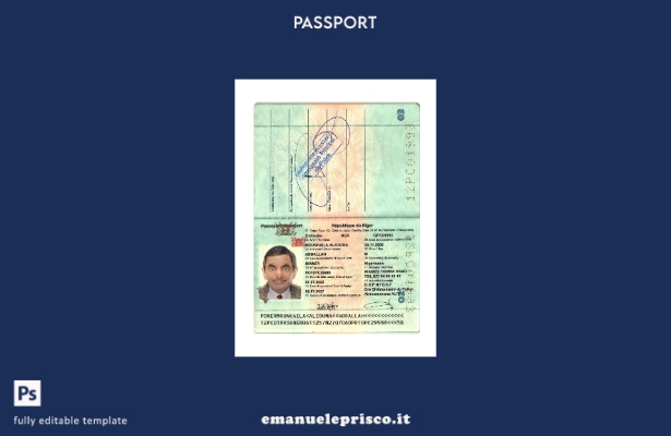 modello presente di passaporto della Repubblica del Niger in stile verificato