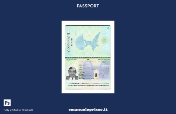 modello presente di passaporto iracheno in stile verificato 2