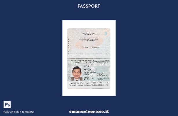 modello presente di passaporto vietnamita in stile verificato