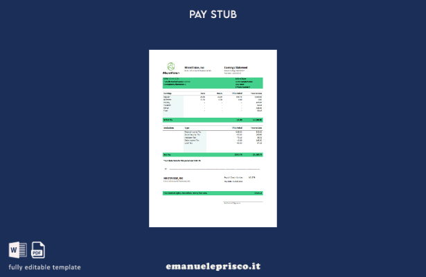 Modello di busta paga aziendale informativo USA MicroVision in stile verificato