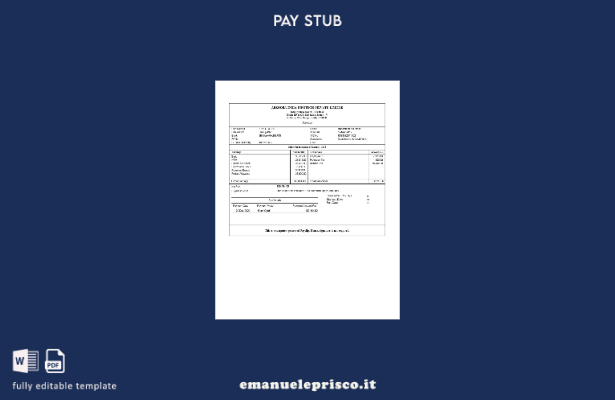 modello di busta paga Abzooba India Infotech stile verificato