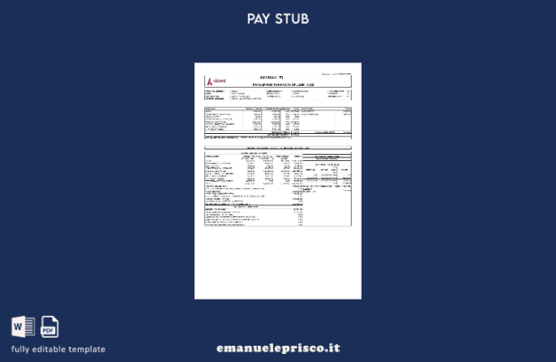 modello di busta paga Axis Bank in stile verificato