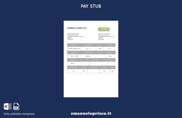 modello di busta paga BMC Insurance Play in stile verificato