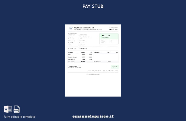 modello di busta paga EdgeNRoots Solutions in stile verificato