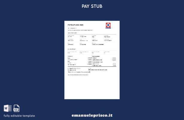 modello di busta paga HDFC Bank in stile verificato