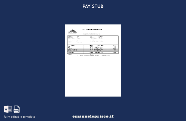 modello di busta paga India Neuland Laboratories Limited stile verificato