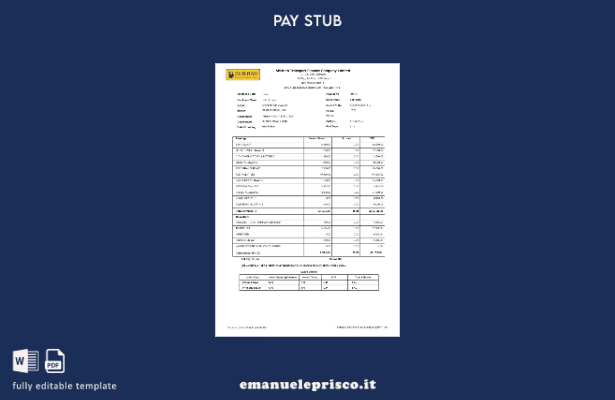 modello di busta paga India Shriram Transport Finance Company Limited stile veri