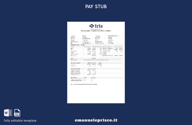 modello di busta paga Iris Software Technologies in stile verificato