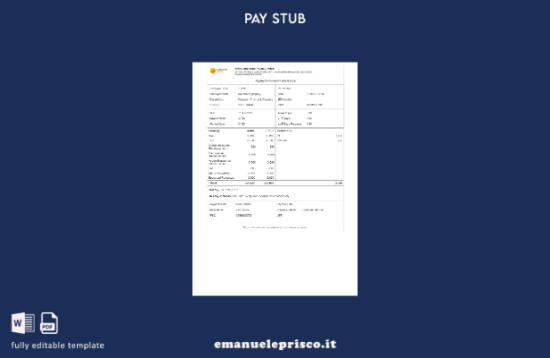 modello di busta paga Vibrant Energy VEH Global India stile verificato